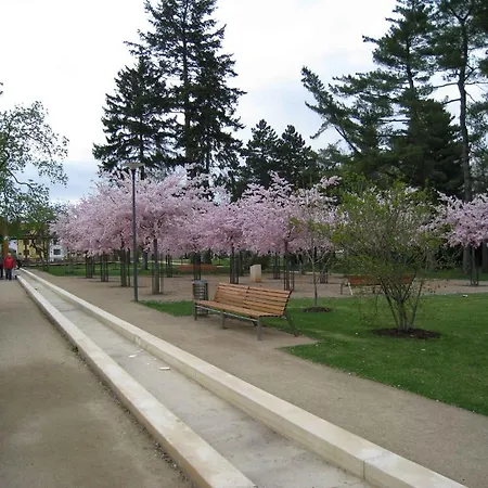 Hotel Lazensky Park