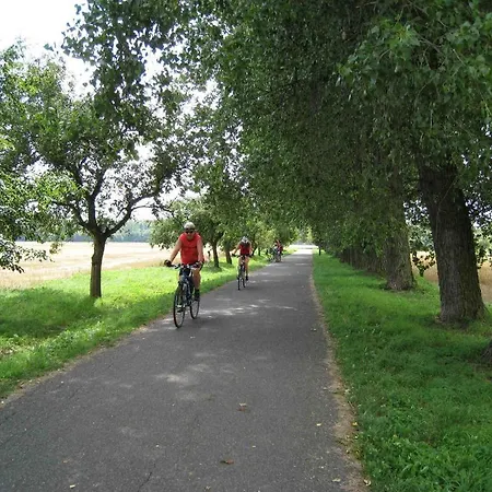 Lazensky Park 4*